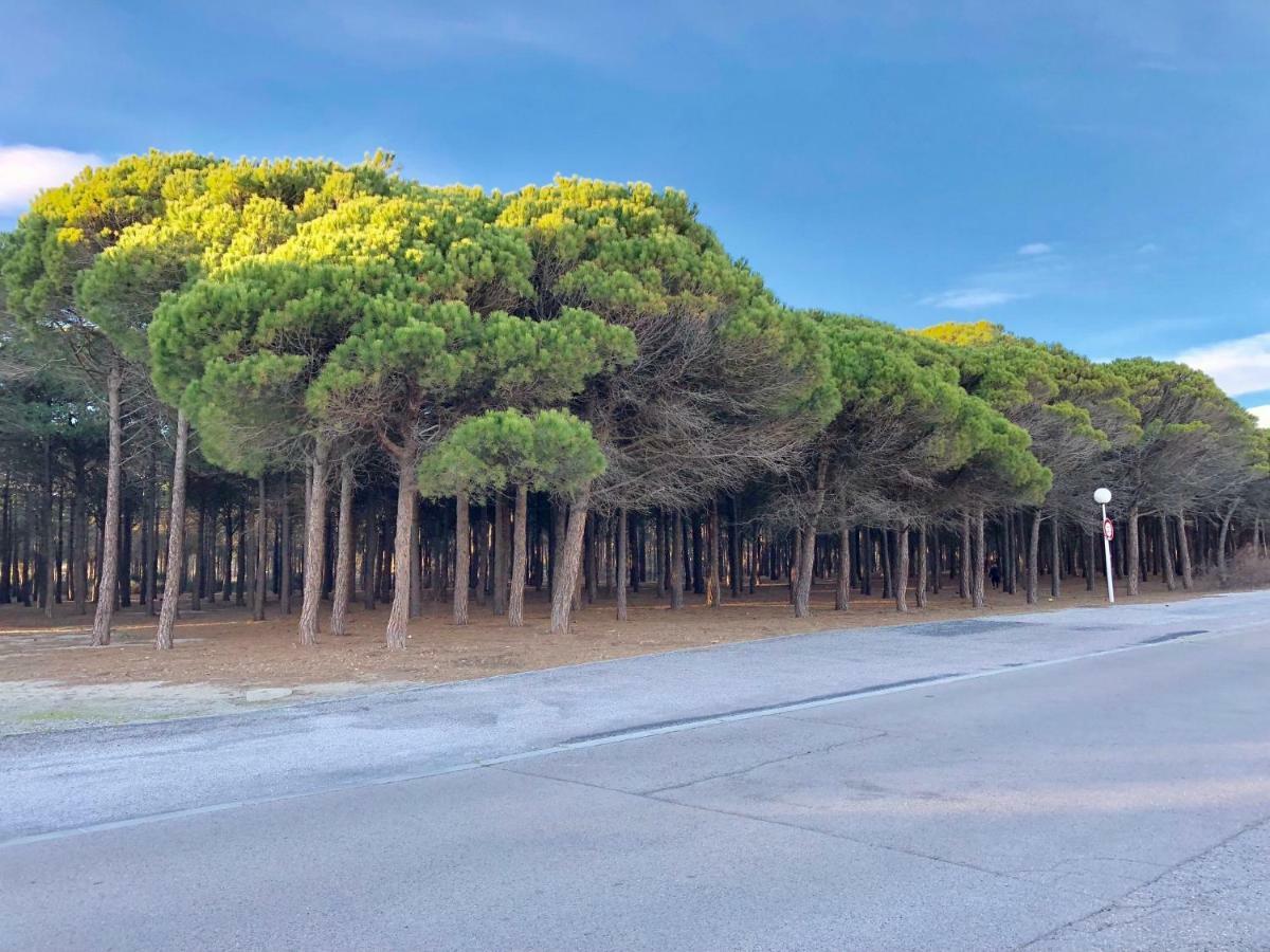 Barcaresa-Villa Vue Mer Acces Direct Plage - Piscine Le Barcarès Dış mekan fotoğraf